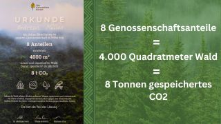 urkunde-the-generation-forest Urkunde über den Kauf von 8 Genossenschaftsanteilen bei The Generation Forest durch Andreas Müller, Geschäftsführer astendo