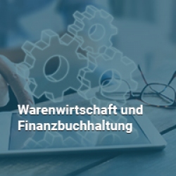 Icon für Warenwirtschaft und Finanzbuchhaltung bei astendo